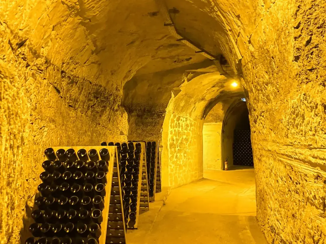 Champagne house visit and tasting